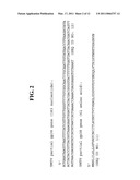 NUCLEIC ACID MOLECULES AND POLYPEPTIDES FOR IMMUNE MODULATION diagram and image