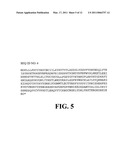 NUCLEIC ACID MOLECULES AND POLYPEPTIDES FOR IMMUNE MODULATION diagram and image