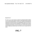 NUCLEIC ACID MOLECULES AND POLYPEPTIDES FOR IMMUNE MODULATION diagram and image