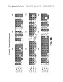 NUCLEIC ACID MOLECULES AND POLYPEPTIDES FOR IMMUNE MODULATION diagram and image