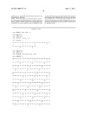 NUCLEIC ACID MOLECULES AND POLYPEPTIDES FOR IMMUNE MODULATION diagram and image