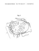 CONTINUOUS MULTI-MICROENCAPSULATION PROCESS FOR IMPROVING THE STABILITY AND STORAGE LIFE OF BIOLOGICALLY ACTIVE INGREDIENTS diagram and image