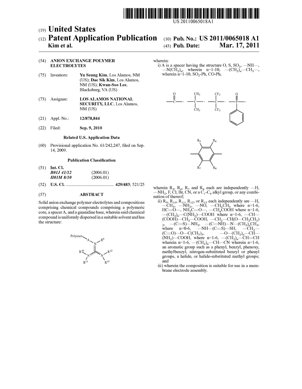 ANION EXCHANGE POLYMER ELECTROLYTES - diagram, schematic, and image 01