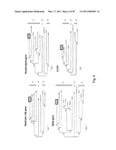 Coronavirus, Nucleic Acid, Protein, and Methods for the Generation of Vaccine, Medicaments and Diagnostics diagram and image