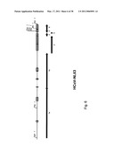 Coronavirus, Nucleic Acid, Protein, and Methods for the Generation of Vaccine, Medicaments and Diagnostics diagram and image