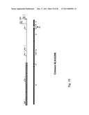 Coronavirus, Nucleic Acid, Protein, and Methods for the Generation of Vaccine, Medicaments and Diagnostics diagram and image