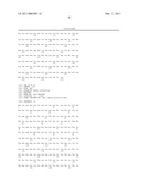 Coronavirus, Nucleic Acid, Protein, and Methods for the Generation of Vaccine, Medicaments and Diagnostics diagram and image