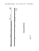 Coronavirus, Nucleic Acid, Protein, and Methods for the Generation of Vaccine, Medicaments and Diagnostics diagram and image