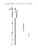 Coronavirus, Nucleic Acid, Protein, and Methods for the Generation of Vaccine, Medicaments and Diagnostics diagram and image