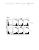 USE OF RNA FOR REPROGRAMMING SOMATIC CELLS diagram and image