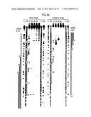 RNA INTERFERENCE MEDIATING SMALL RNA MOLECULES diagram and image