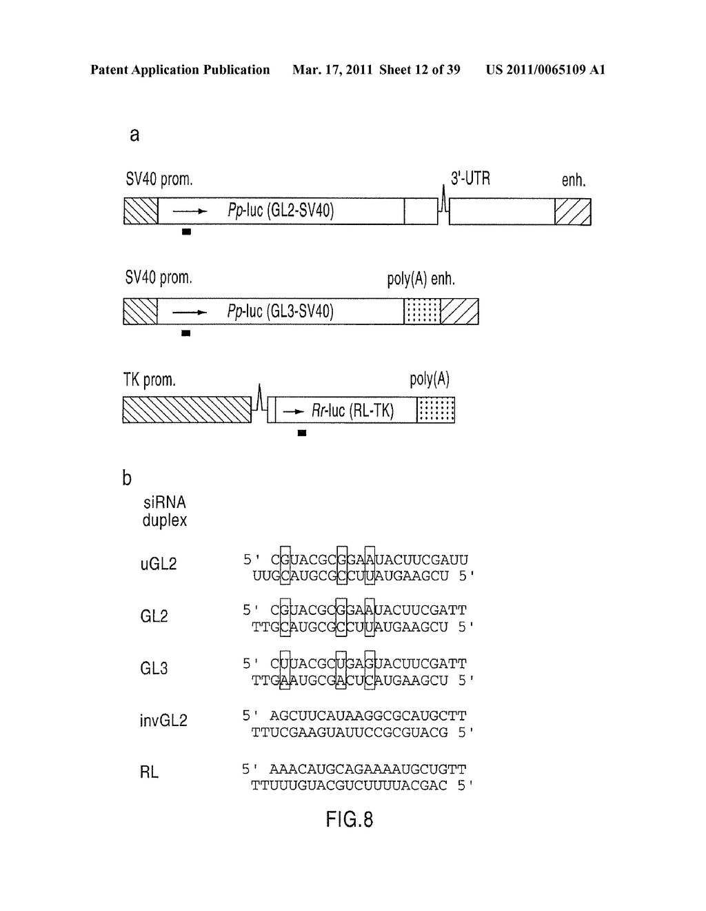 RNA INTERFERENCE MEDIATING SMALL RNA MOLECULES - diagram, schematic, and image 13