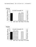 RNA INTERFERENCE MEDIATING SMALL RNA MOLECULES diagram and image