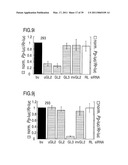 RNA INTERFERENCE MEDIATING SMALL RNA MOLECULES diagram and image