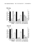 RNA INTERFERENCE MEDIATING SMALL RNA MOLECULES diagram and image