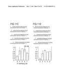 RNA INTERFERENCE MEDIATING SMALL RNA MOLECULES diagram and image