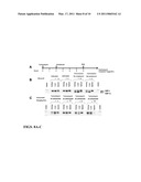 IRE-1alpha INHIBITORS diagram and image