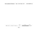 ISOLATED NUCLEIC ACIDS ENCODING FARNESYLTRANSFERASE POLYPEPTIDES diagram and image