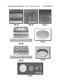 COMBINATORIAL MULTIDOMAIN MESOPOROUS CHIPS AND A METHOD FOR FRACTIONATION, STABILIZATION, AND STORAGE OF BIOMOLECULES diagram and image