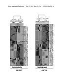 COMBINATORIAL MULTIDOMAIN MESOPOROUS CHIPS AND A METHOD FOR FRACTIONATION, STABILIZATION, AND STORAGE OF BIOMOLECULES diagram and image