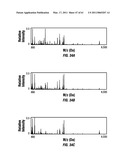 COMBINATORIAL MULTIDOMAIN MESOPOROUS CHIPS AND A METHOD FOR FRACTIONATION, STABILIZATION, AND STORAGE OF BIOMOLECULES diagram and image