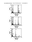 COMBINATORIAL MULTIDOMAIN MESOPOROUS CHIPS AND A METHOD FOR FRACTIONATION, STABILIZATION, AND STORAGE OF BIOMOLECULES diagram and image