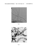 Electrode Catalyst of Carbon Nitride Nanotubes Supported by Platinum and Ruthenium Nanoparticles and Preparation Method Thereof diagram and image