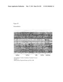 METHOD FOR DETECTION OF GENE TRANSCRIPTS IN BLOOD AND USES THEREOF diagram and image