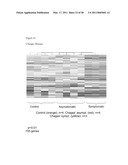 METHOD FOR DETECTION OF GENE TRANSCRIPTS IN BLOOD AND USES THEREOF diagram and image