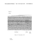 METHOD FOR DETECTION OF GENE TRANSCRIPTS IN BLOOD AND USES THEREOF diagram and image