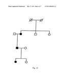 Screening and Therapy for Lymphatic Disorders Involving the FLT4 Receptor Tyrosine Kinase (VEGFR-3) diagram and image