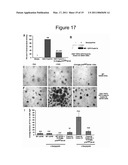 Methods of Inhibiting Tumor Cell Proliferation diagram and image