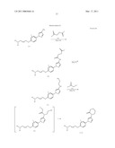 PHENYLPYRAZOLE DERIVATIVES diagram and image