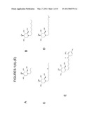 IMINOSUGARS AND METHODS OF TREATING FILOVIRAL DISEASES diagram and image