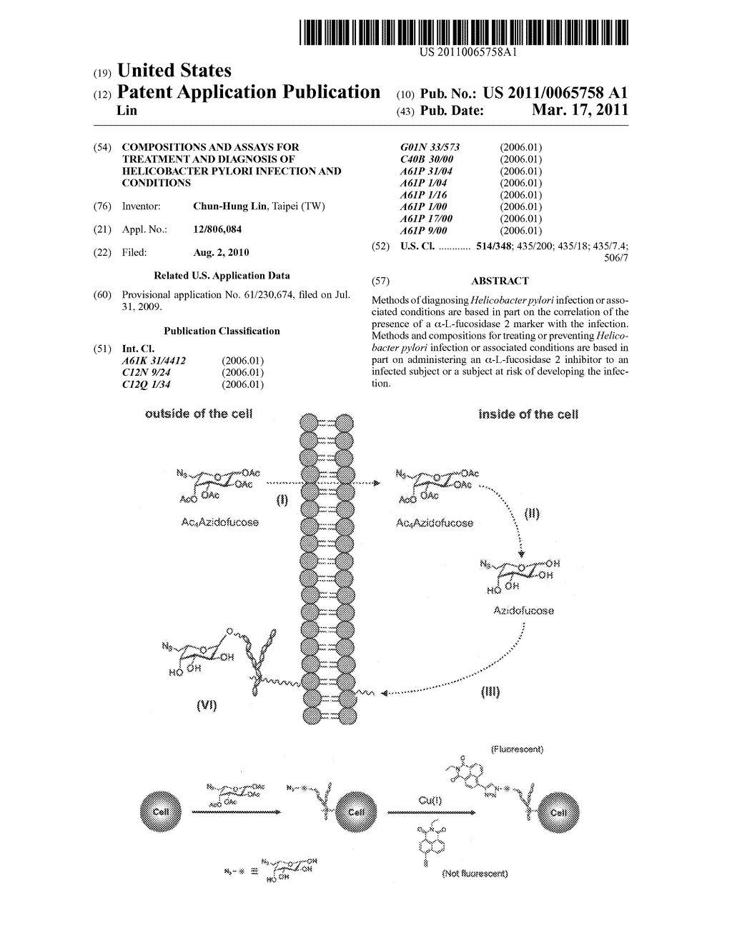 Compositions and assays for treatment and diagnosis of helicobacter pylori infection and conditions - diagram, schematic, and image 01