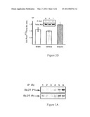 METHODS OF TREATING NERVE-RELATED VISION DISORDERS diagram and image