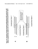 RNA Interference Mediated Inhibition of Muscarinic Colinergic Receptor Gene Expression Using Short Interfering Nucleic Acid (siNA) diagram and image