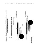 RNA Interference Mediated Inhibition of Muscarinic Colinergic Receptor Gene Expression Using Short Interfering Nucleic Acid (siNA) diagram and image