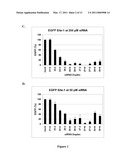 METHODS AND COMPOSITIONS FOR THE SPECIFIC INHIBITION OF GENE EXPRESSION BY DOUBLE-STRANDED RNA diagram and image