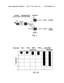 LIGHT THERAPY TREATMENT diagram and image