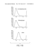 Computer Aided Ligand-Based and Receptor-Based Drug Design Utilizing Molecular Shape and Electrostatic Complementarity diagram and image