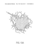 Computer Aided Ligand-Based and Receptor-Based Drug Design Utilizing Molecular Shape and Electrostatic Complementarity diagram and image