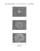 Computer Aided Ligand-Based and Receptor-Based Drug Design Utilizing Molecular Shape and Electrostatic Complementarity diagram and image