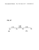 Expression of Xenogenous (Human) Immunoglobulins in cloned, transgenic ungulates diagram and image