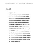 Expression of Xenogenous (Human) Immunoglobulins in cloned, transgenic ungulates diagram and image