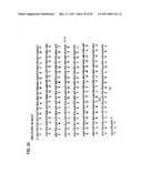 Expression of Xenogenous (Human) Immunoglobulins in cloned, transgenic ungulates diagram and image