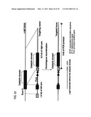 Expression of Xenogenous (Human) Immunoglobulins in cloned, transgenic ungulates diagram and image