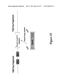 Expression of Xenogenous (Human) Immunoglobulins in cloned, transgenic ungulates diagram and image