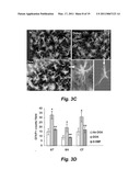 MAO-B ELEVATION AS AN EARLY PARKINSON S DISEASE BIOMARKER diagram and image