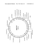SOYBEAN PLANT AND SEED CORRESPONDING TO TRANSGENIC EVENT MON87769 AND METHODS FOR DETECTION THEREOF diagram and image